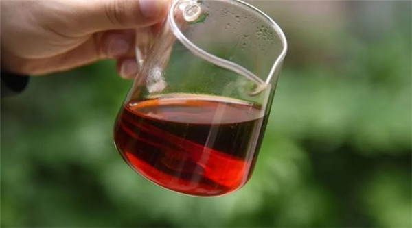 秋冬季节,喝熟普能为身体带来哪些好处?