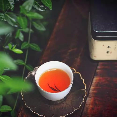 普洱老茶,为什么是养胃之王?